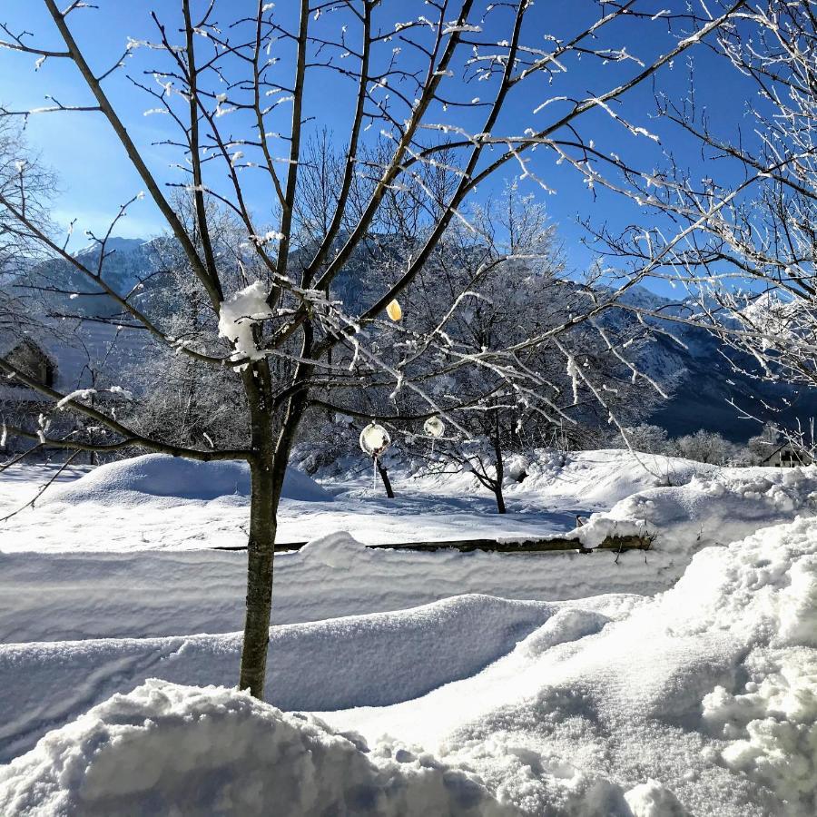 Residence Aurora, Bohinji-tó Kültér fotó