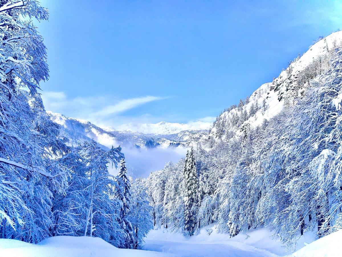 Residence Aurora, Bohinji-tó Kültér fotó