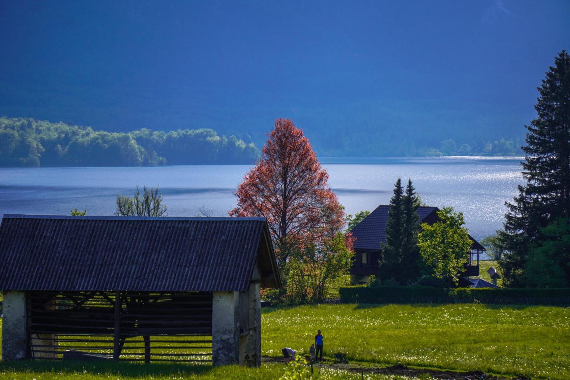 Residence Aurora, Bohinji-tó Kültér fotó